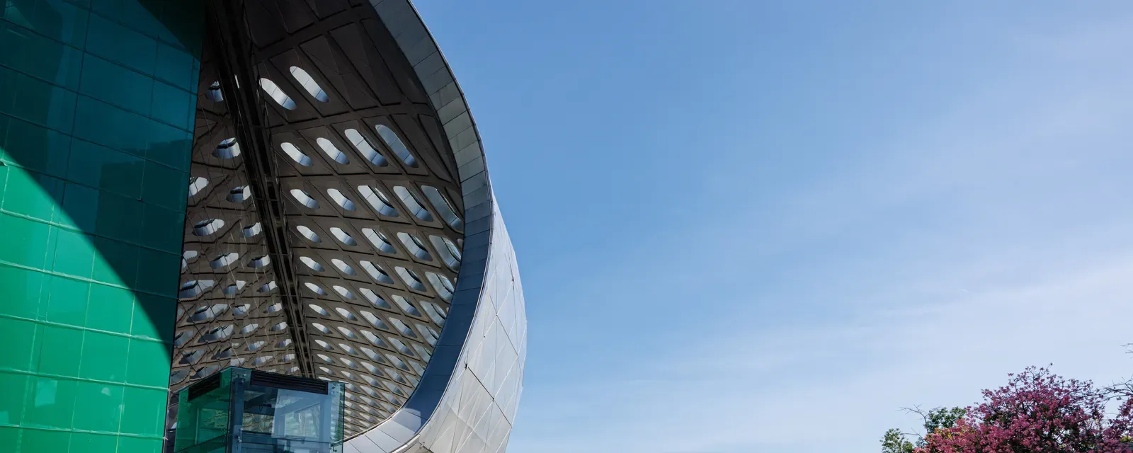 The shell-like perforated roof of Shenzhen Bay Sports Center in Nanshan, against a clear sky